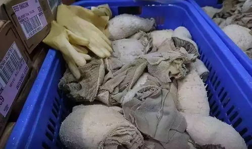 可怕 桂林人爱吃的这种烧烤出事了,看完令人作呕