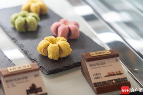 尚南堂 用一杯鹧鸪茶 道出海南健康生活方式