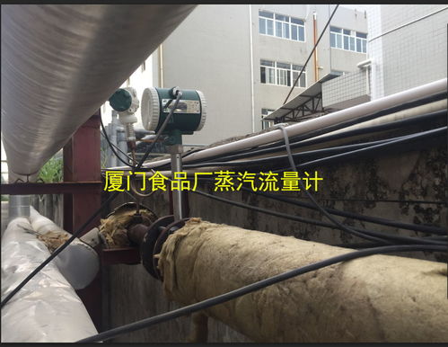 探讨食品厂蒸汽成本核算及蒸汽流量计选型厦门精川