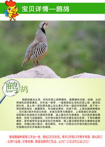 价格 厂家 