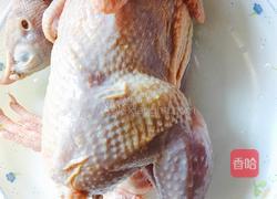 香菇仁片炖鹧鸪的做法