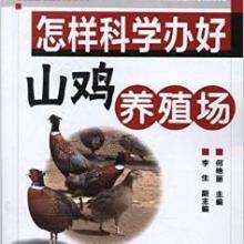 鹧鸪 山野之禽与文化意象